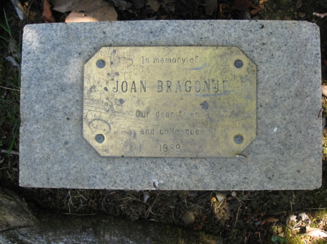 Joan Bragonje