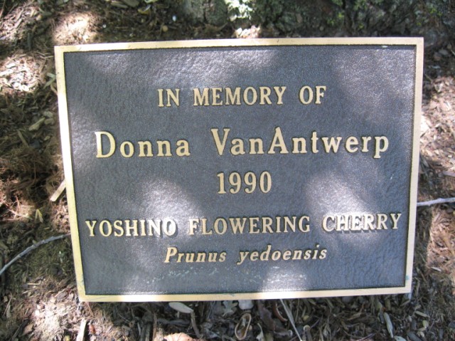 Donna Van Antwerp